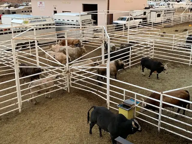 Feed Lots
