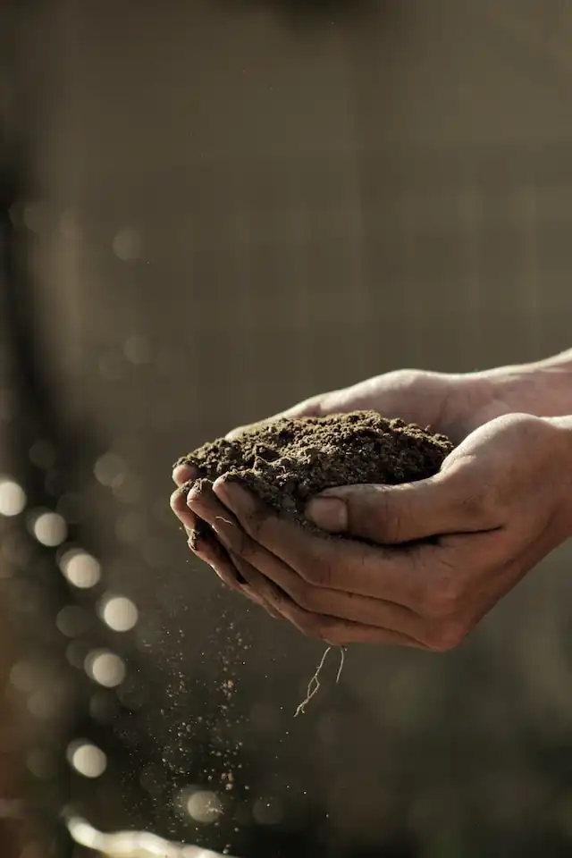 Soil Care Hands